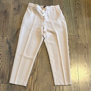 Ann Taylor Light Beige Dress Pants